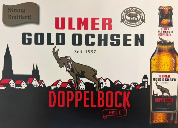 Wie schon im vergangenen Jahr sorgt die Brauerei Gold Ochsen zum Jahresende für einen kräftigen Farbtupfer im Kühlregal: Ab Ende September ist der Ulmer Gold Ochsen Doppelbock Hell wieder im Handel erhältlich – in der feinen 0,33-Liter-Flasche. Vollmundig, elegant und mit einem Hauch von Frische ist das Festbier von Gold Ochsen der perfekte Begleiter für festliche Momente und gemütliche Abende. Schon beim Einschenken verspricht das goldgelb-karamellfarben leuchtende Bier mit seinem cremig-feinporigen Schaum Genuss – und schürt die Vorfreude auf den ersten Schluck.