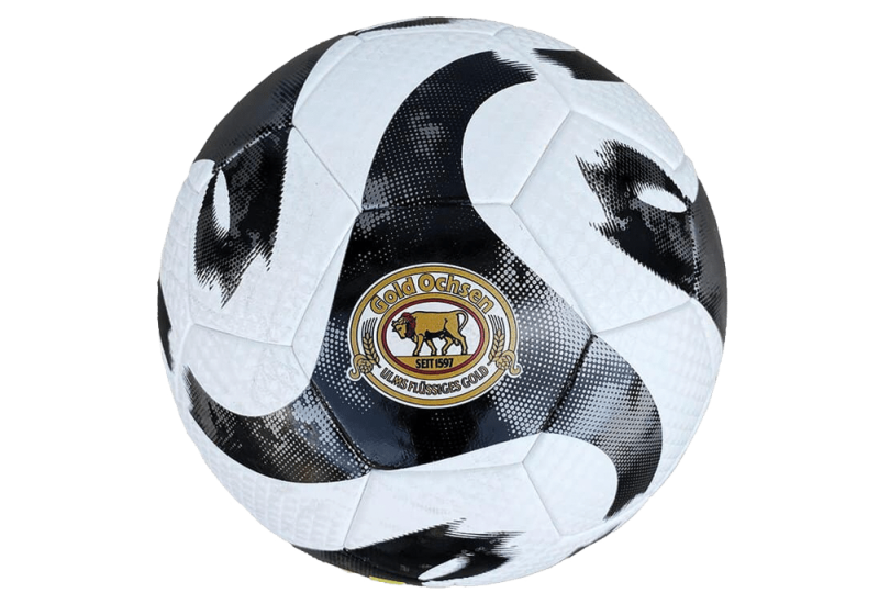 wm-fussball_web